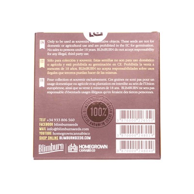 Tijuana > Blim Burn Seeds | Feminisierte Hanfsamen  |  Sativa